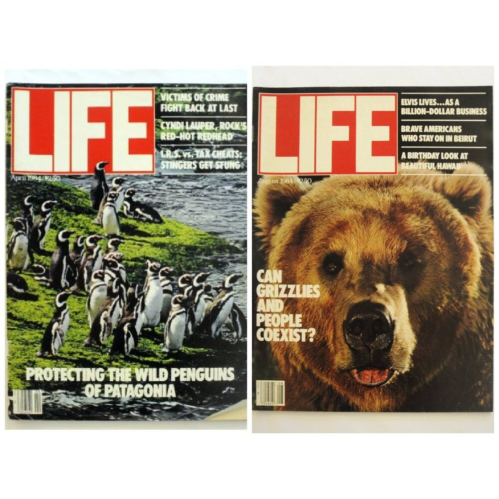 VTG 1984 LIFE Magazines Your CHOICE, Can Grizzles & People Coexist, Penguins